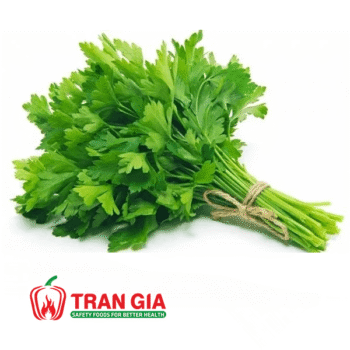 Mẹo chọn rau cần để có những món ăn tươi ngon
