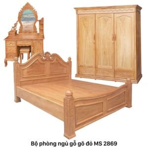 bo phong ngu go go do 2869 1