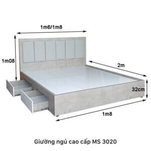 Giường có ngăn kéo MS 3020 9 Giường có ngăn kéo MS 3020