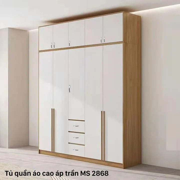 tu quan ao cao dung tran MS 2868 1
