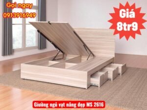 Giường Ngủ Vạt Nâng Đẹp | Mã số 2616 | Giá 8tr9 16 Giường Ngủ Vạt Nâng Đẹp