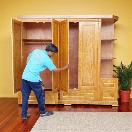 Mẫu tủ quần áo gỗ đẹp hiện đại MS 3263