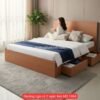 Giường ngủ có 2 ngăn kéo MS 1464
