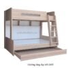 Giường tầng đẹp MS 2435
